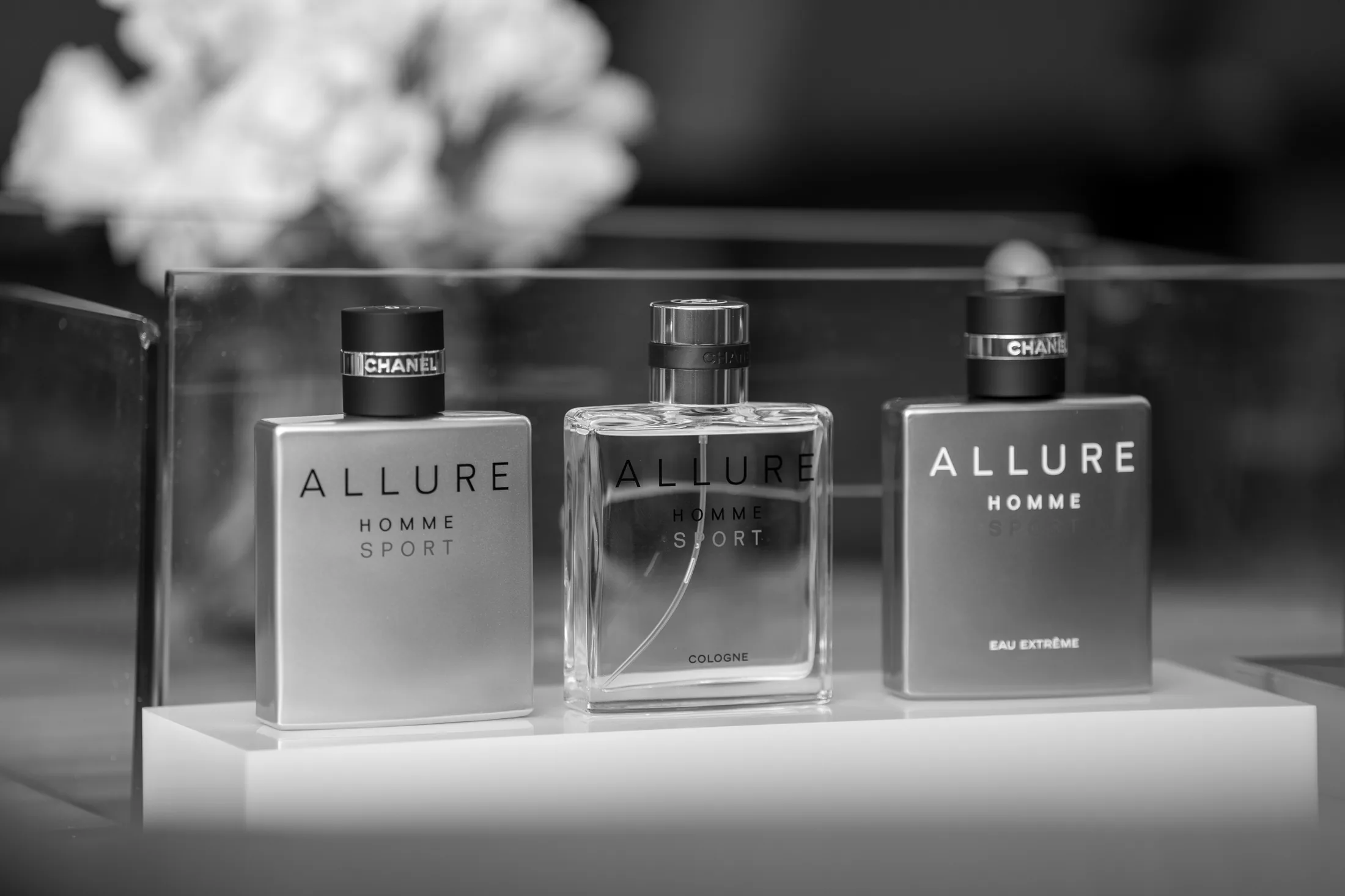 Fotografía del proyecto Allure Regata 36
