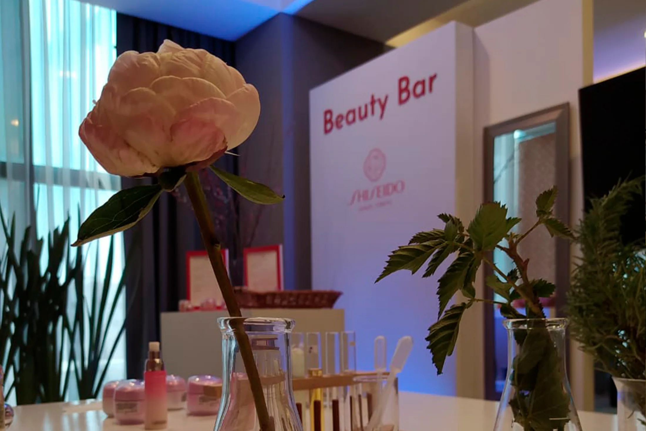 Gráfica de Beauty Clusters