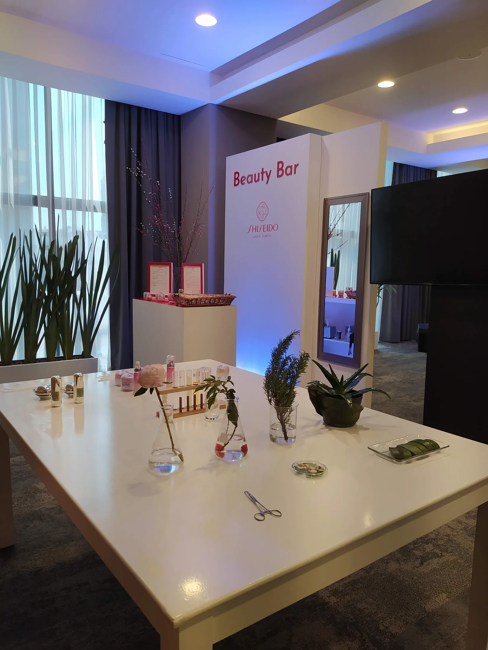 Experiencia de producto Beauty Clusters