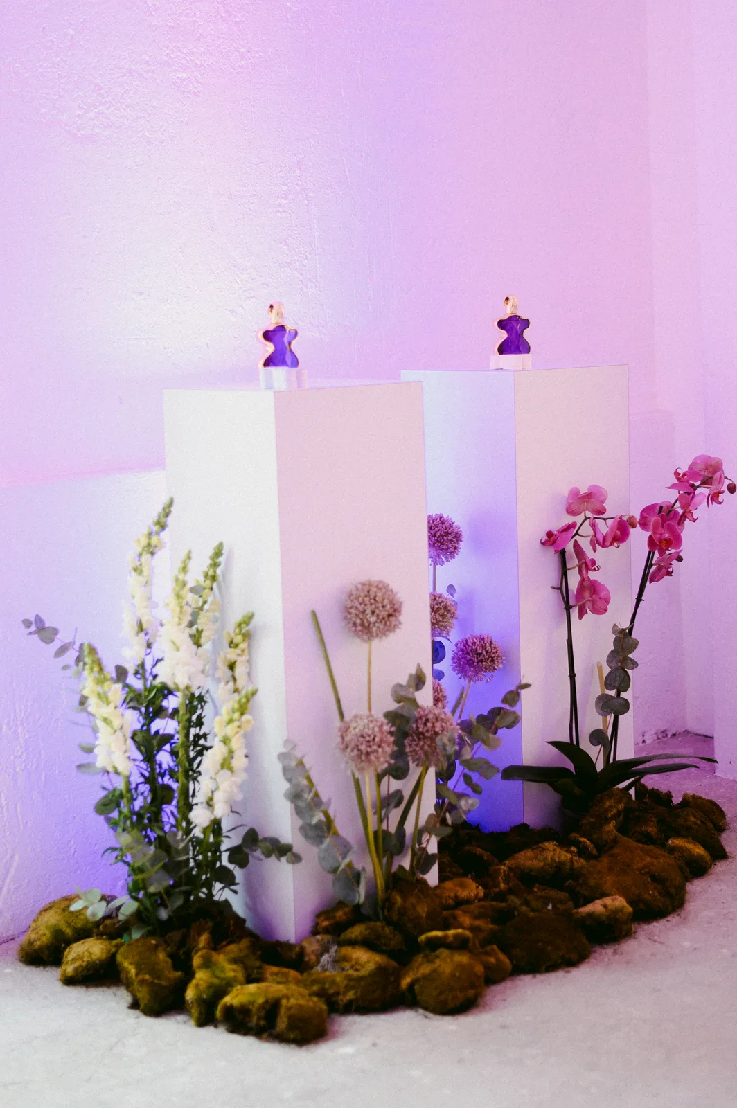 Fotografía del proyecto Love Me Amethyst 09