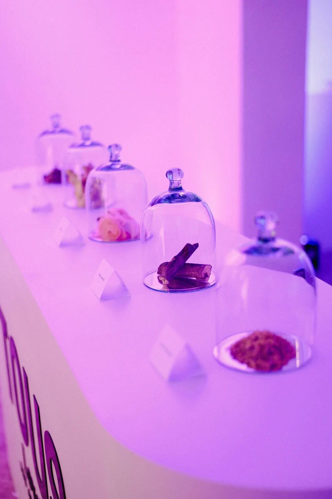 Fotografía del proyecto Love Me Amethyst 10